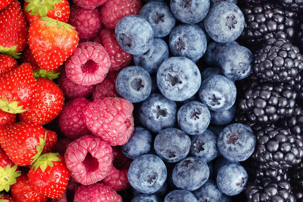 Louisville Healthy Vending | Food Snacks | Low Carb